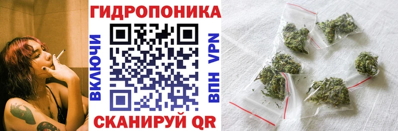 Конопля гибрид  Нягань 